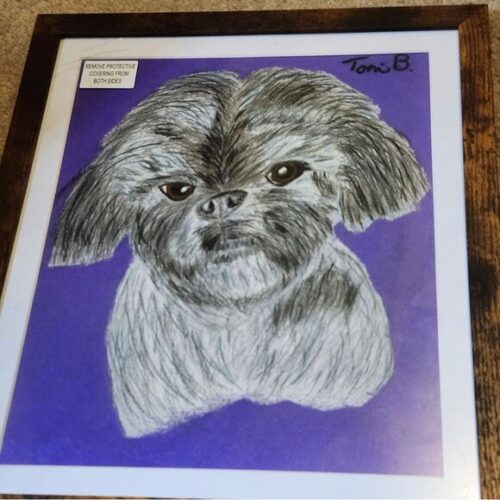 Handmade Framed Colored Pencil Drawing Shih -Tzu Dog 9x11 inch comes with frame