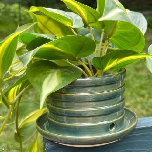 Wheel-thrown small planter pot w/ catch basin - glossy teal