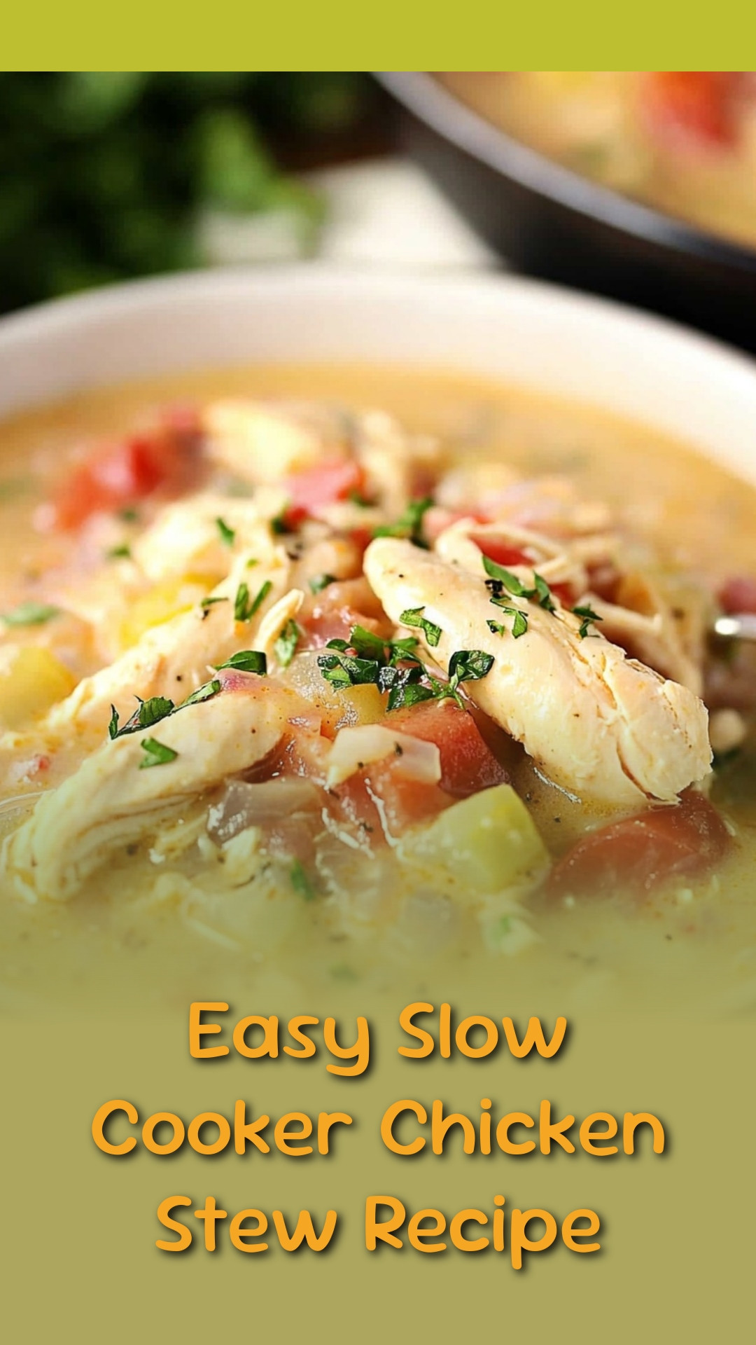 Easy Slow Cooker Chicken Stew Recipe