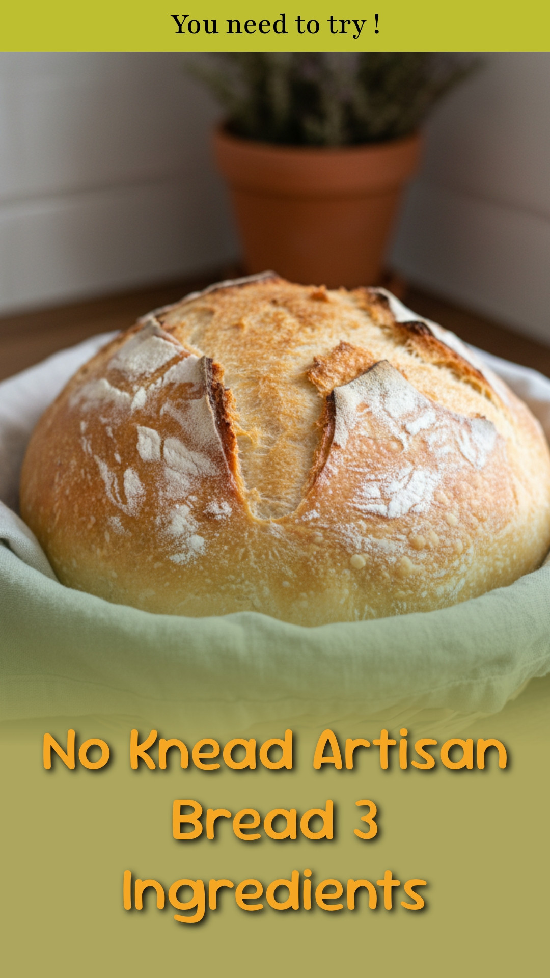 No Knead Artisan Bread 3 Ingredients