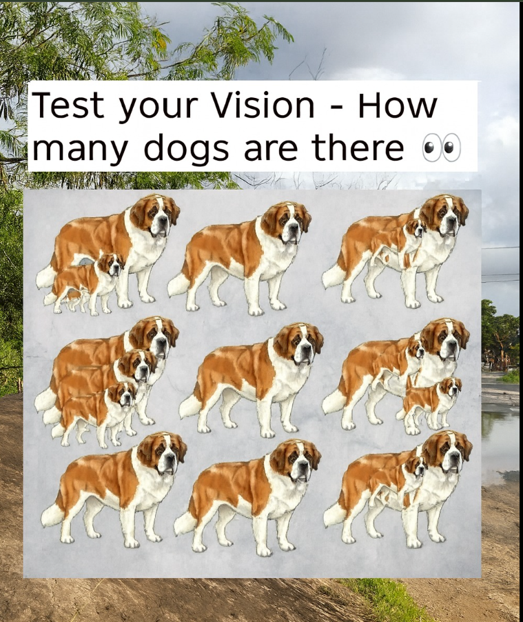 Can You Spot All 16 Dogs? Only the Sharpest Eyes Can!