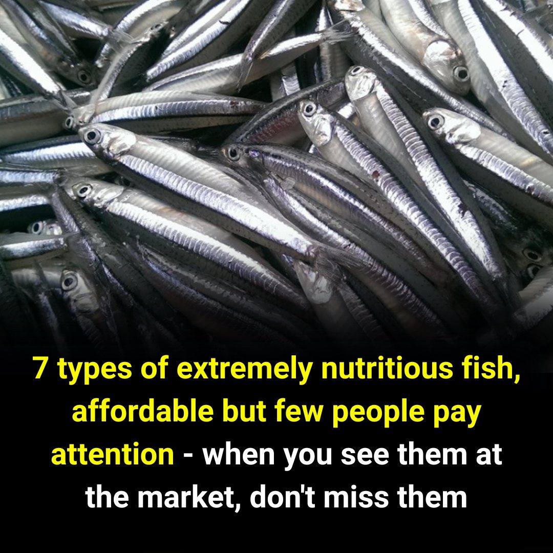 Don’t miss these fish when you go to the market