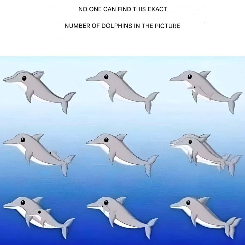How many dolphins do you see in the picture?