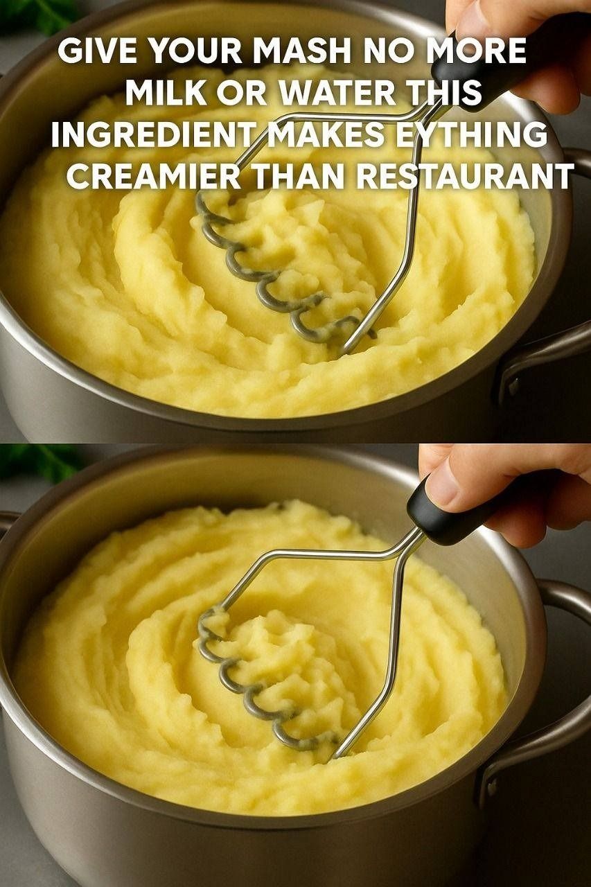 Do not add milk or water to your puree: this ingredient makes everything creamier than in a restaurant