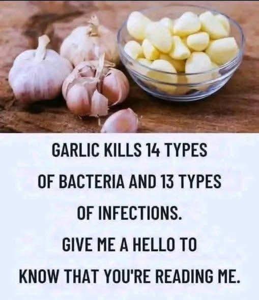 Garlic Eliminates 14 Types of Bacteria and 13 Types of Infections
