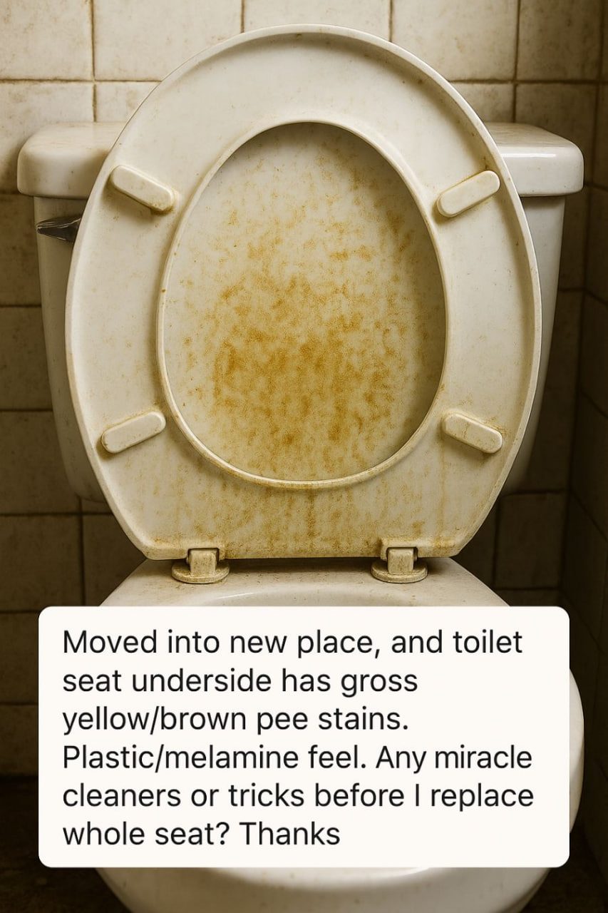 How to Remove Yellow-Brown Stains From a Plastic Toilet Seat (Before You Replace It)